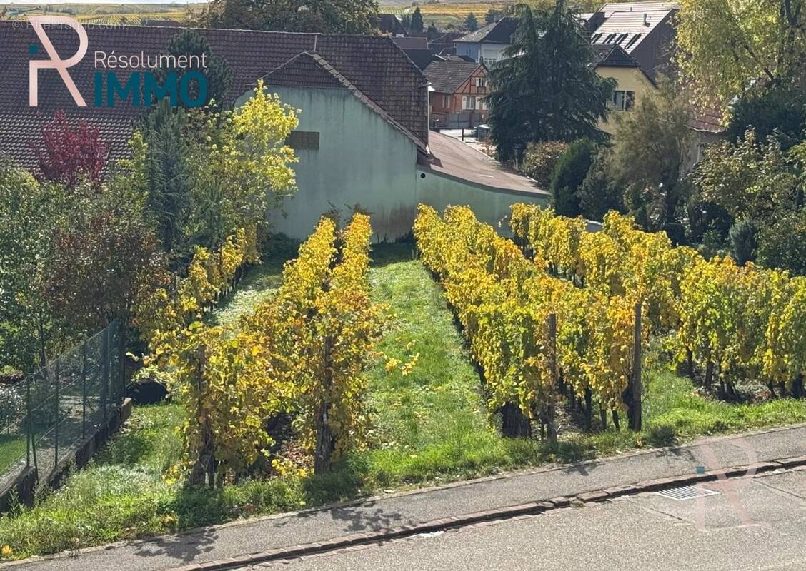 Terrain à WETTOLSHEIM