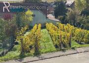 Terrain à WETTOLSHEIM