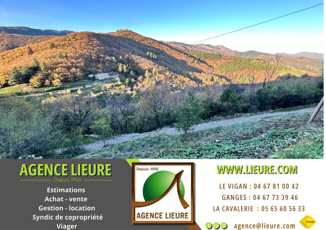 Terrain à BEZ-ET-ESPARON