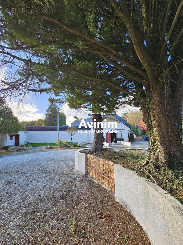 Commerce à LES BRULAIS