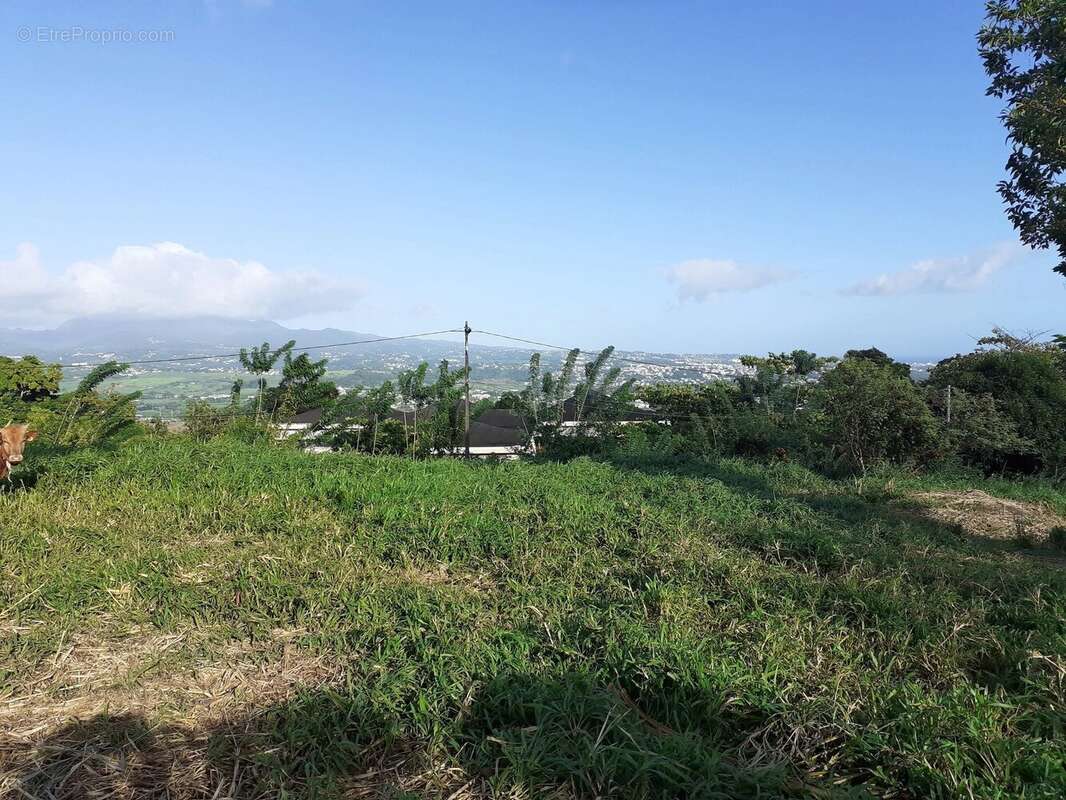 Terrain à LE LAMENTIN