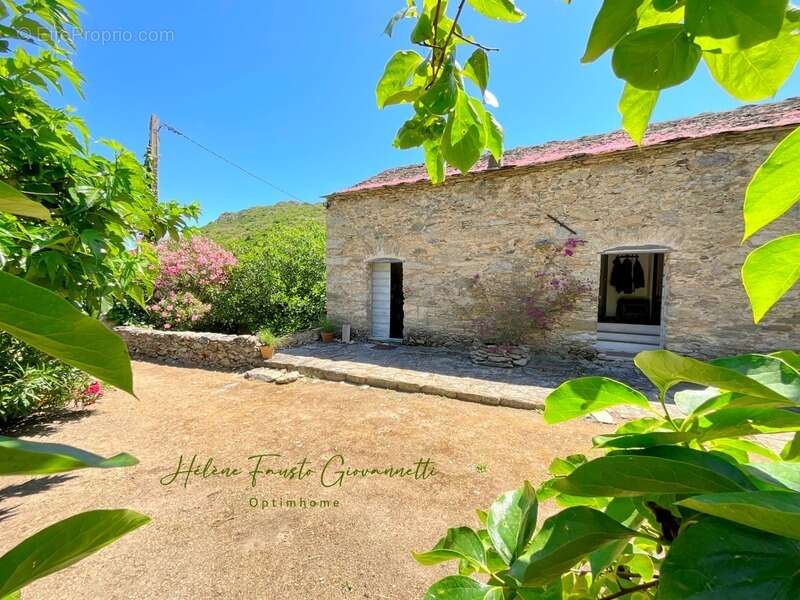 Ancien Moulin en Pierre avec dépendances sur près de 2,3 hectares – Santo-Pietro-di-Tenda - photo 35