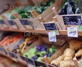 Commerce à FORCALQUIER