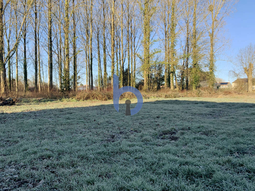 Terrain à COMMEQUIERS