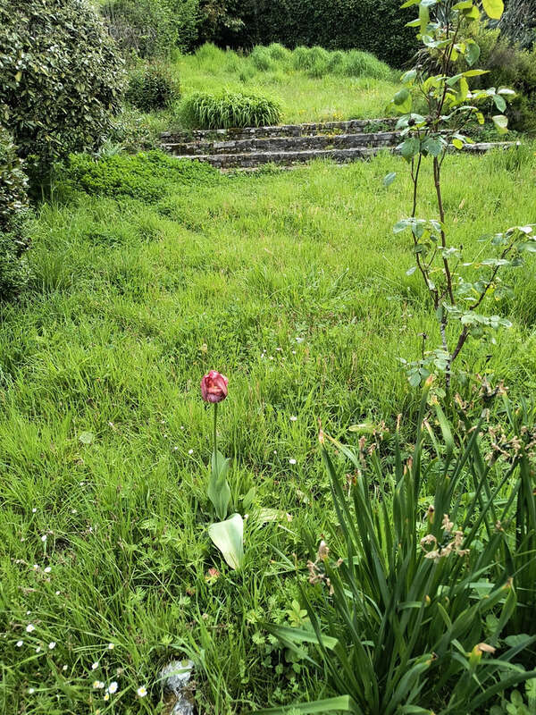 Maison à BRIVE-LA-GAILLARDE