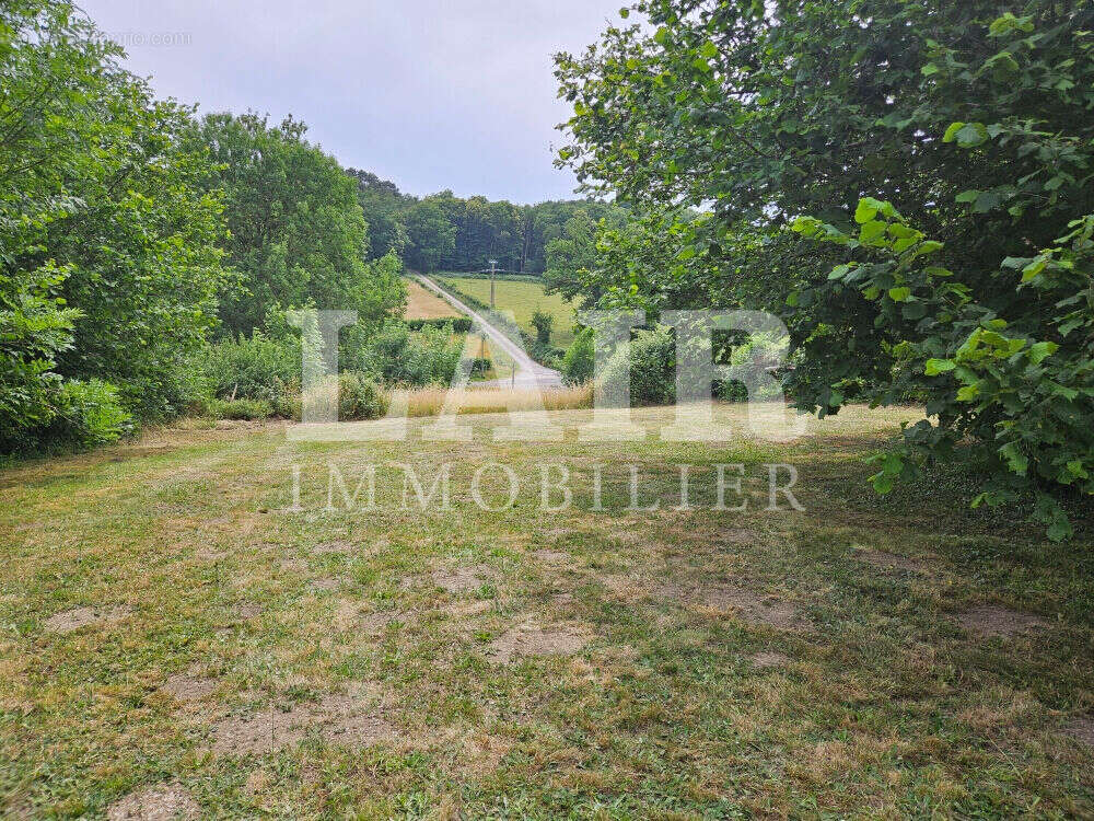 Maison à SAINT-LEONARD-DES-BOIS