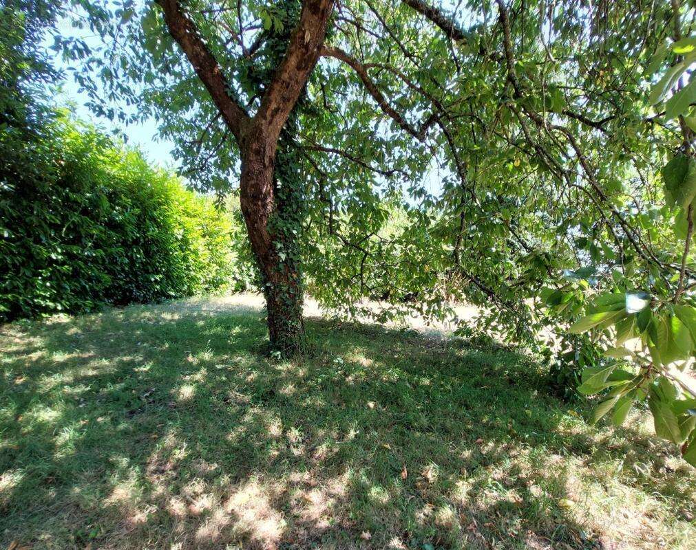 Maison 75 m² à Josselin  - photo 15