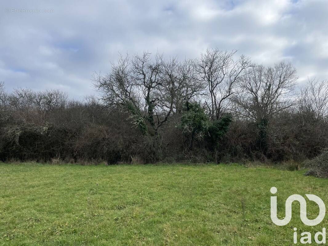 Photo 1 - Terrain à DUNET