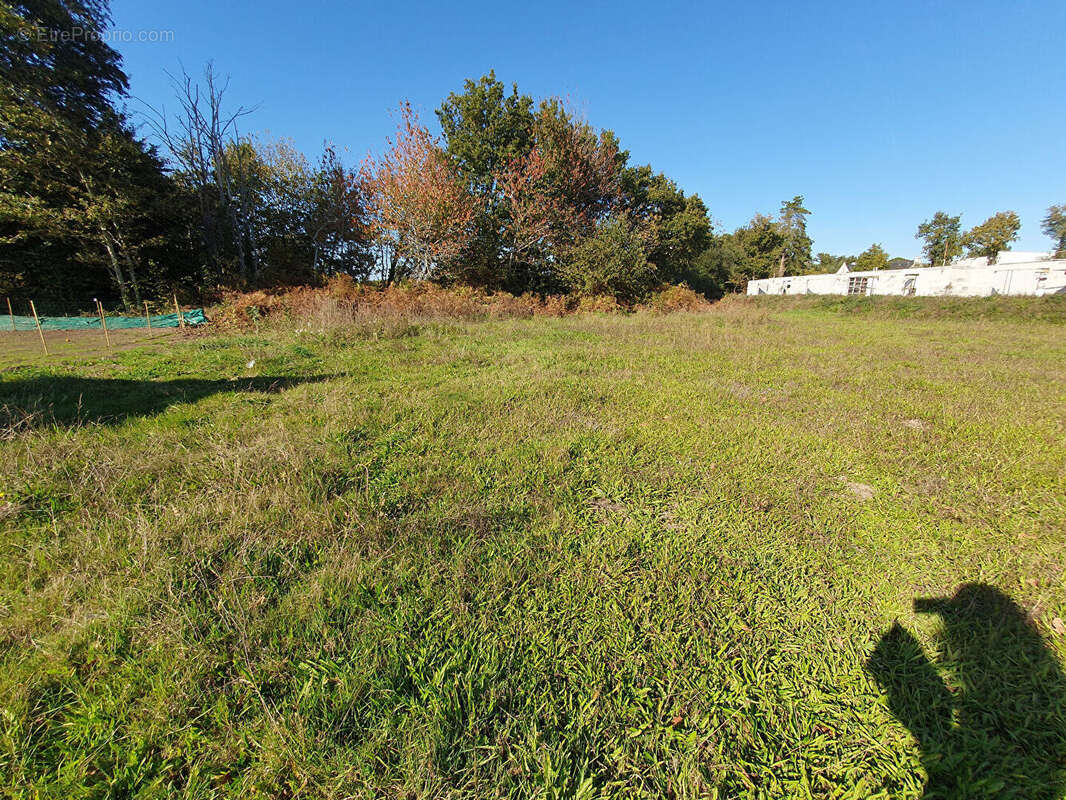 Terrain à QUIMPER