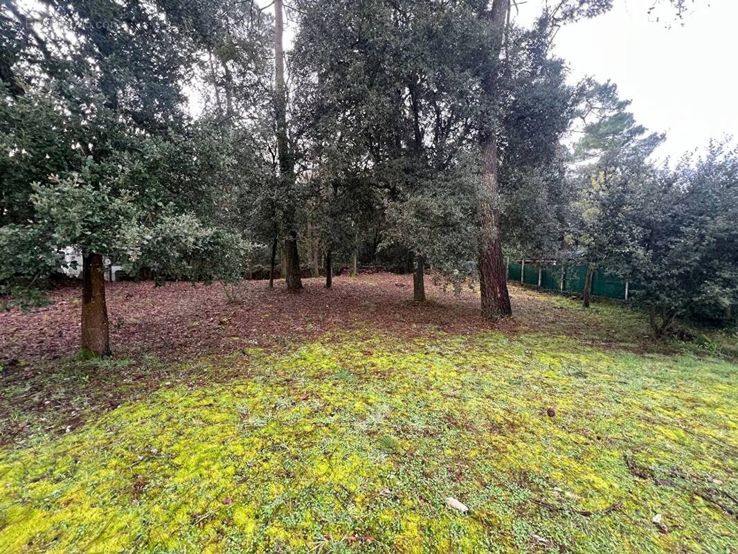 Terrain à JARD-SUR-MER