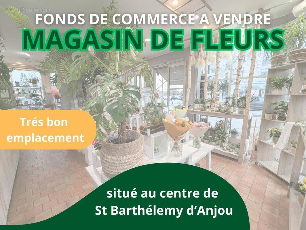Photo 1 - Commerce à SAINT-BARTHELEMY-D'ANJOU