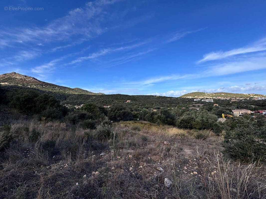 Terrain à SANTA-REPARATA-DI-BALAGNA