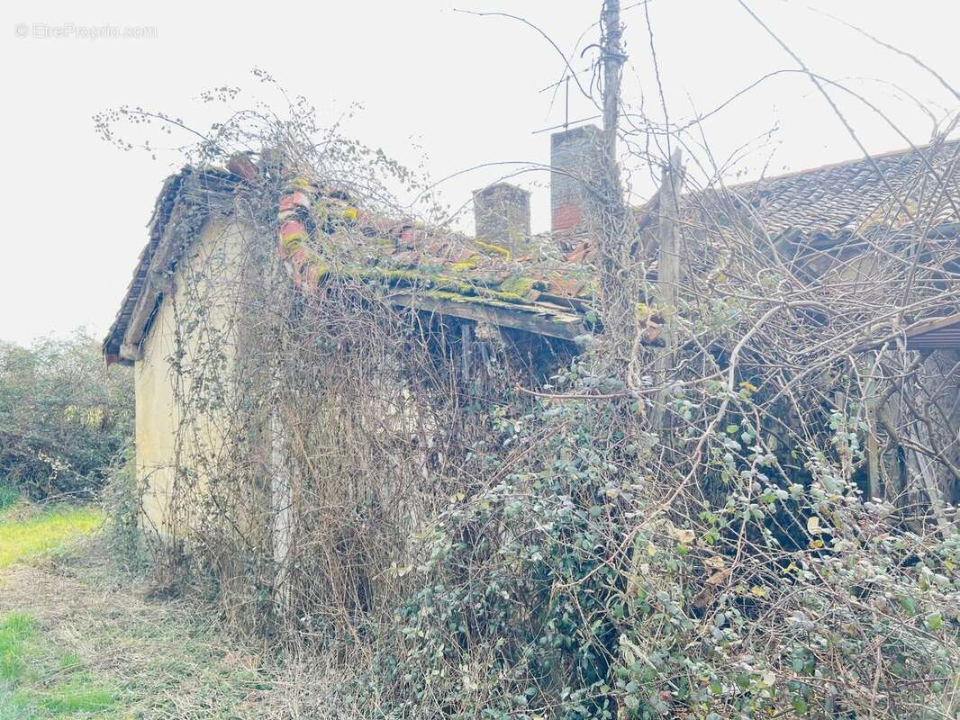 Maison à ROCHECHOUART