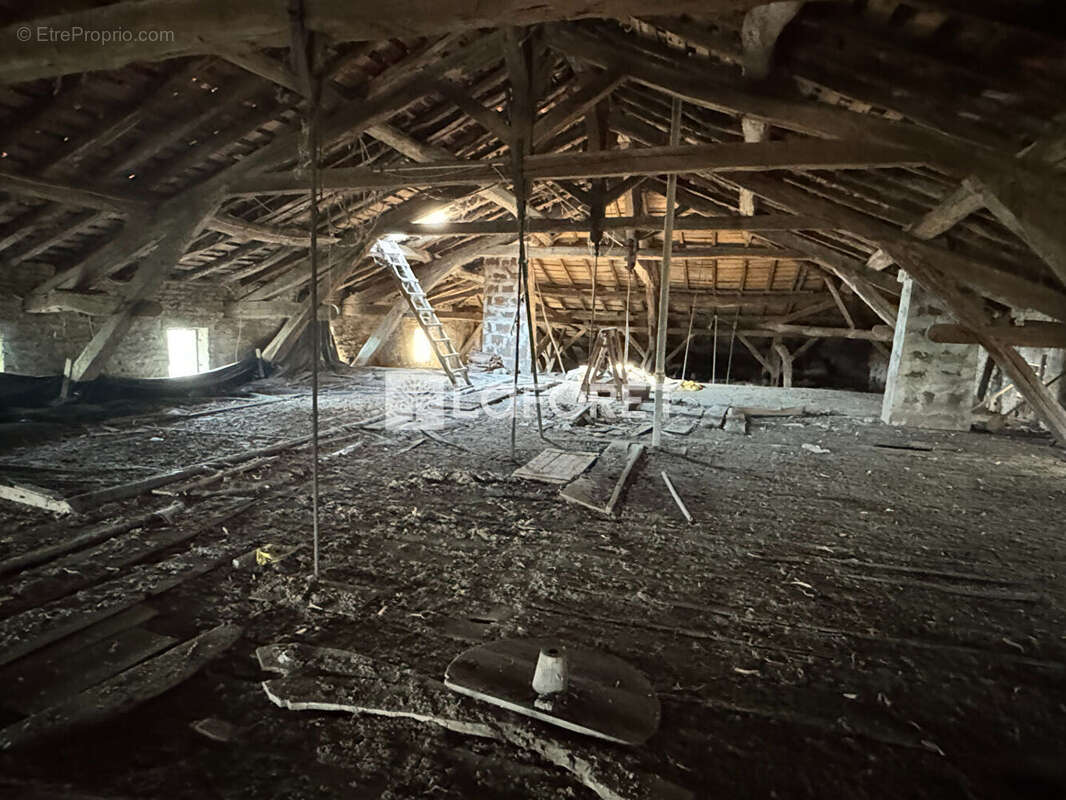 Maison Cadalen - photo 15