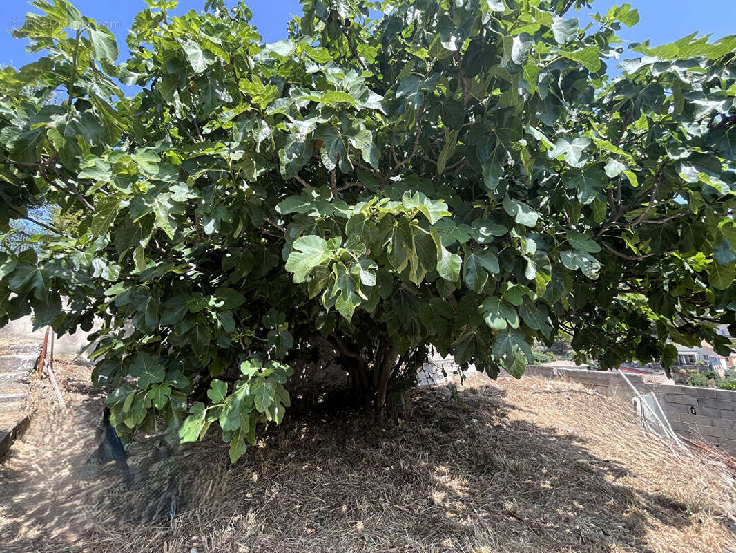 Maison à SEPTEMES-LES-VALLONS
