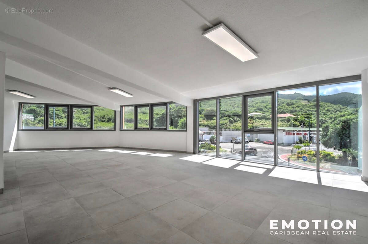 Commerce à SAINT-MARTIN