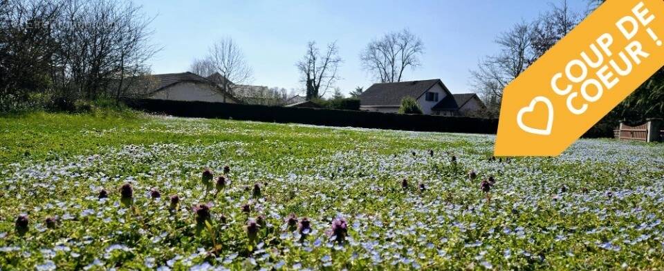 Terrain à HAUTEVILLE-SUR-FIER
