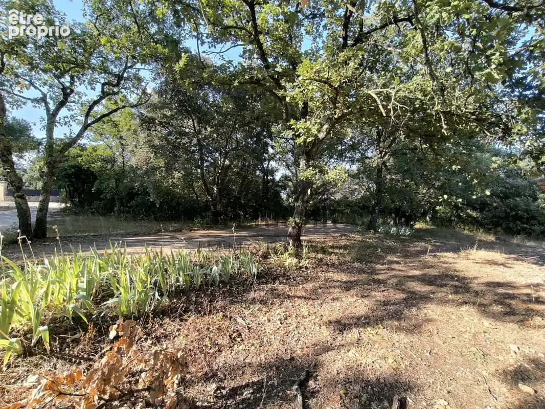Terrain à SAINT-SIFFRET