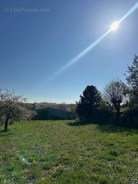 Terrain à SAINTE-MAURE