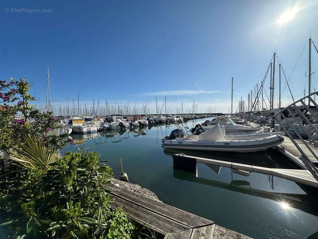 Photo 4 - Commerce à PALAVAS-LES-FLOTS