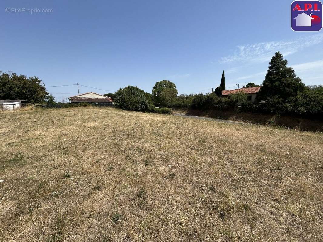 Terrain 1346 m² à Saverdun  - photo 2