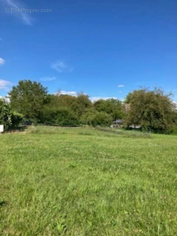 À vendre – Grand terrain à bâtir à Rouhling (57520) - photo 3