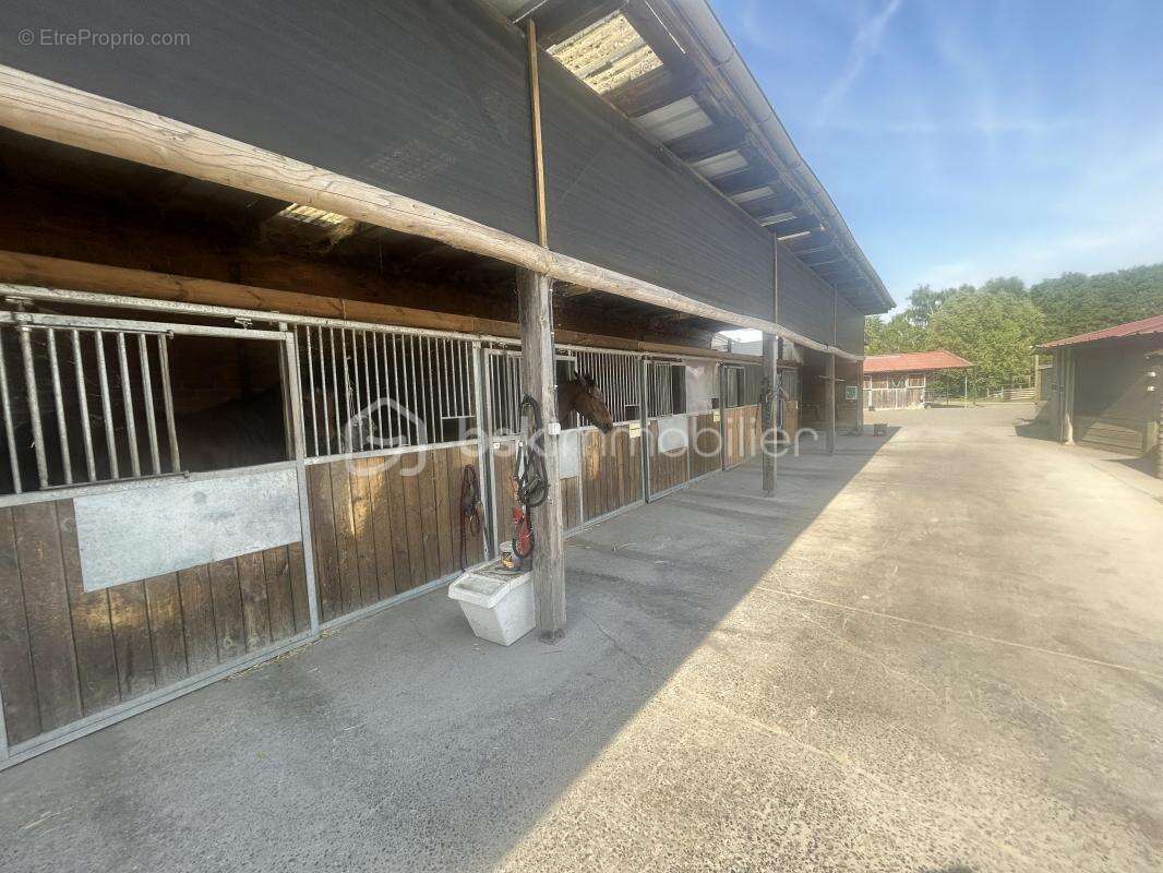 Maison à BOIS-GRENIER