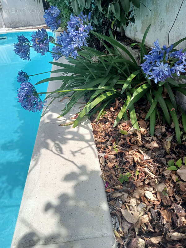 Maison à SAINT-PALAIS-SUR-MER