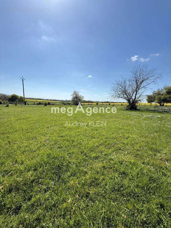 Belle propriété au calme avec terrain, piscine et box équestre - photo 17