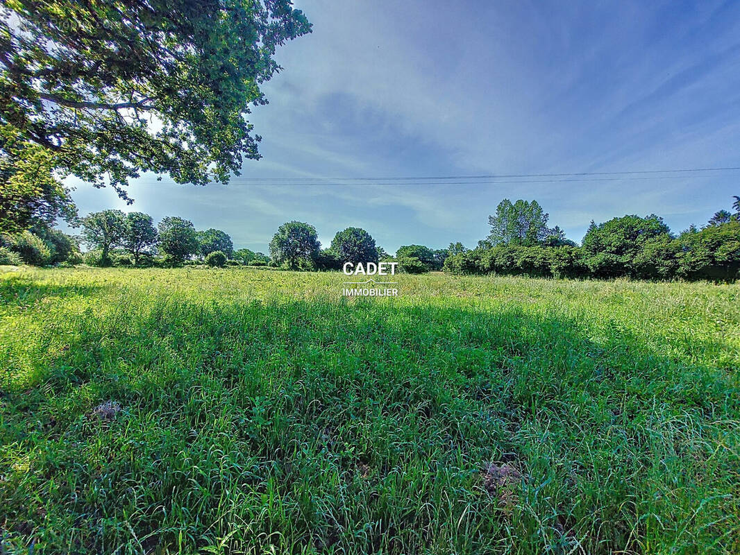 Terrain à LA HAYE-PESNEL