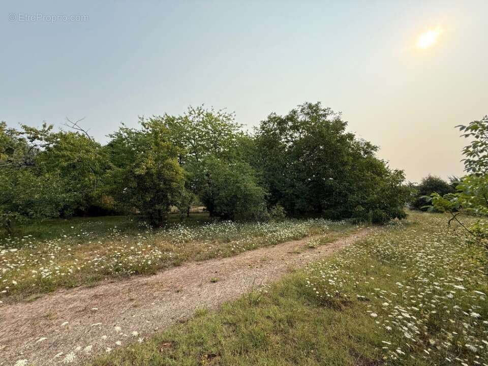 Terrain à SORIGNY