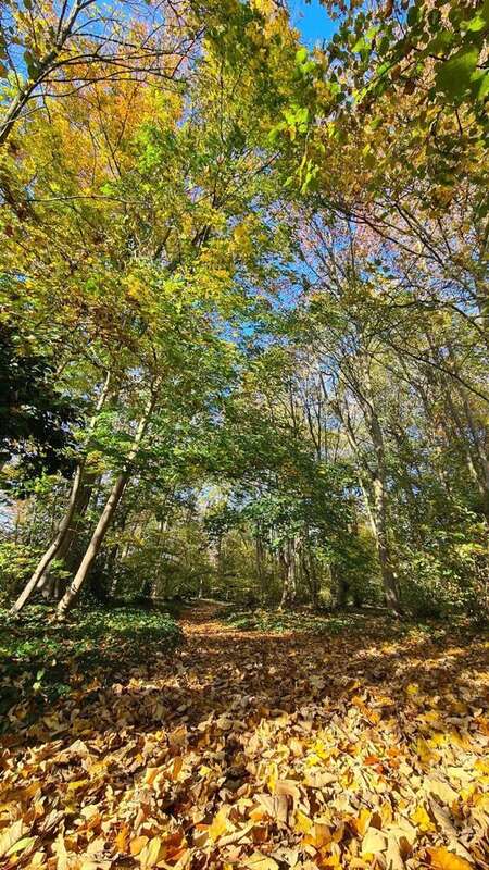 Photo 6 - Maison à CROIX