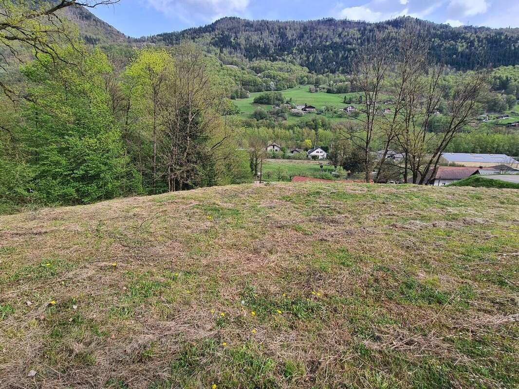 Terrain à MARTHOD
