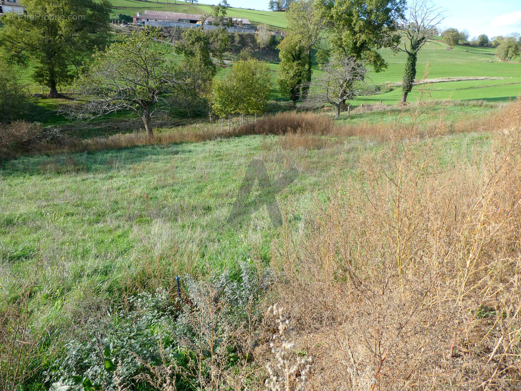 Parcelle à bâtir de 751 m2 à st laurent de chamousset - photo 5