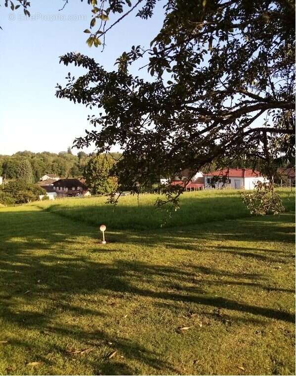 Terrain à SAINT-LEONARD-DE-NOBLAT