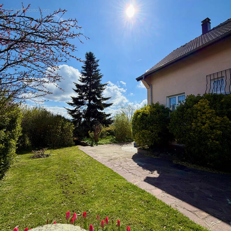 Maison à BRUNSTATT