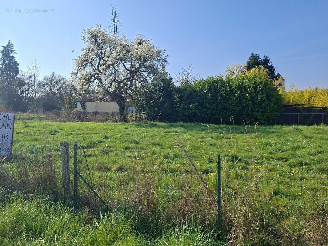 Terrain 713 m² à Nibelle  - photo 2
