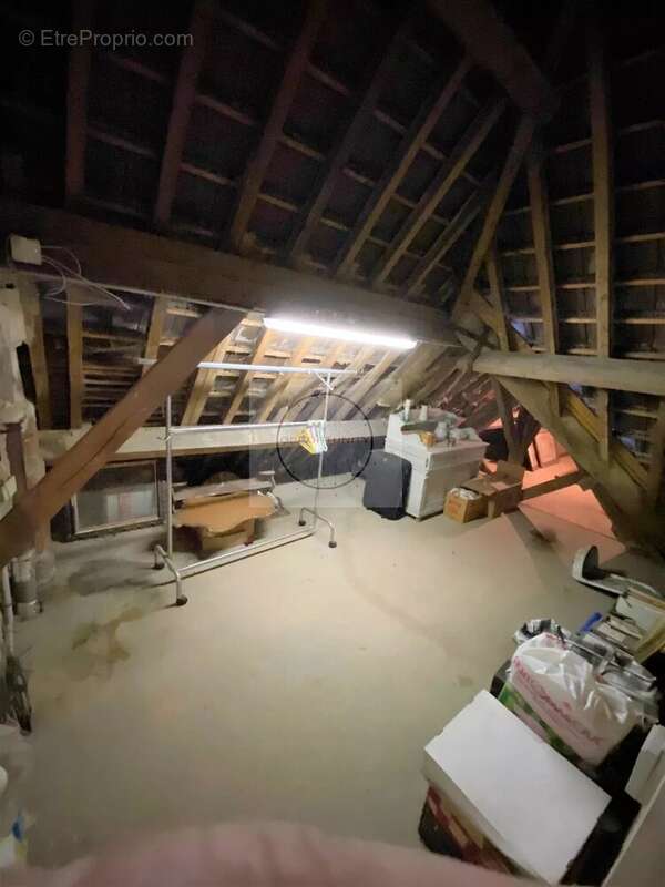 Propriete bourgeoise sur 1350 m² de terrain - photo 20
