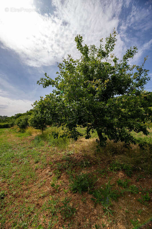 Terrain à COMMERCY