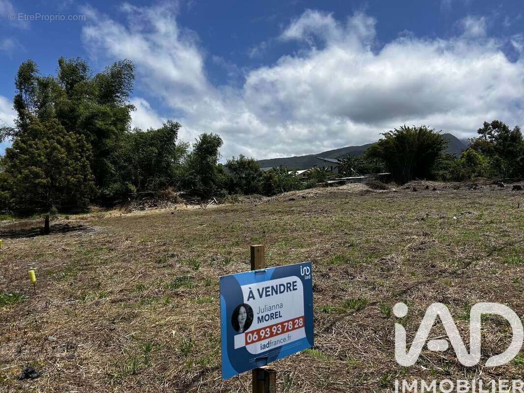 Photo 8 - Terrain à SAINT-JOSEPH