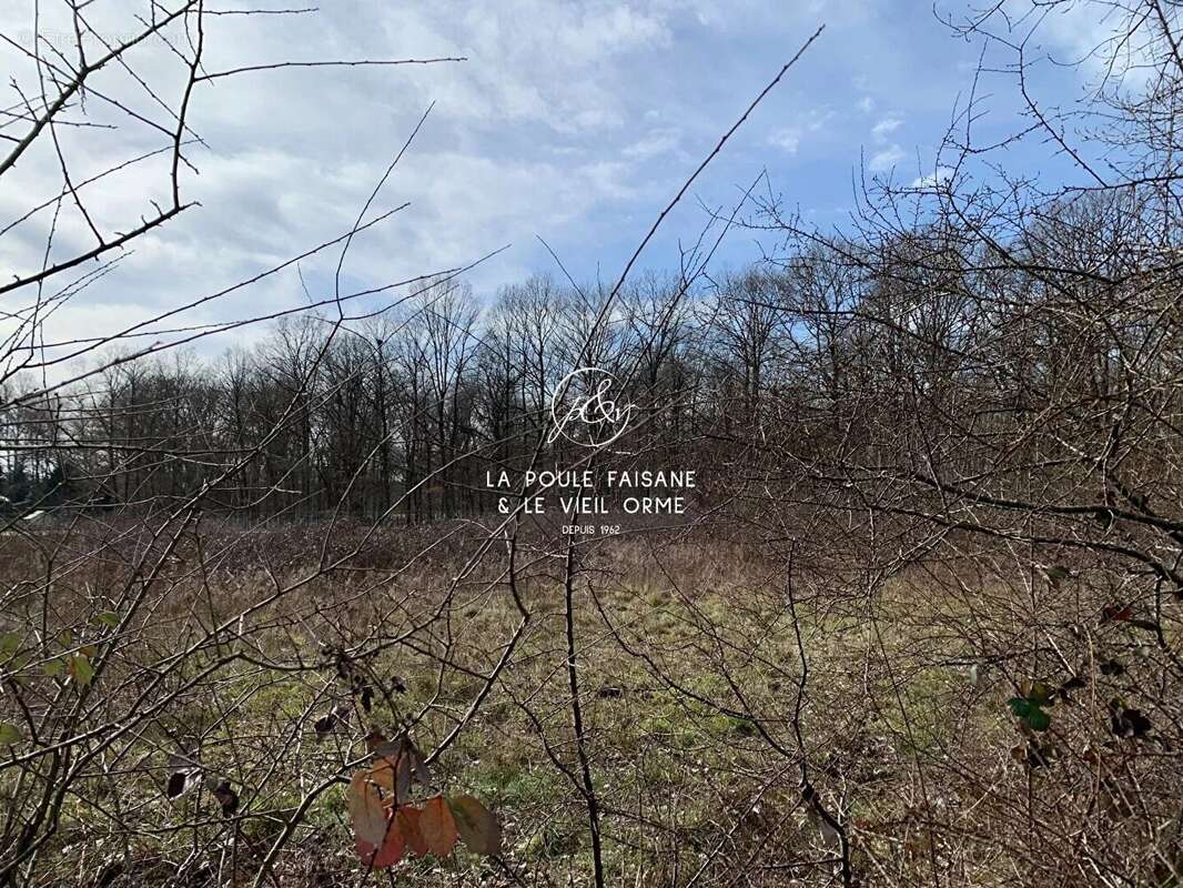 Maison à POIGNY-LA-FORET