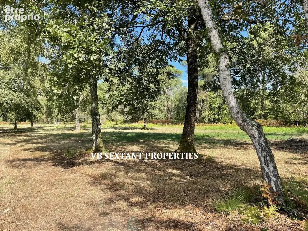 Aux portes de Bazas, Propriété 3hectares  avec  maison d'habitation et dépendances - photo 13