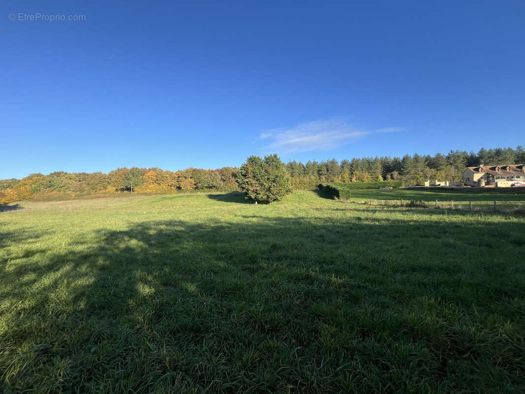 Terrain à AVOISE