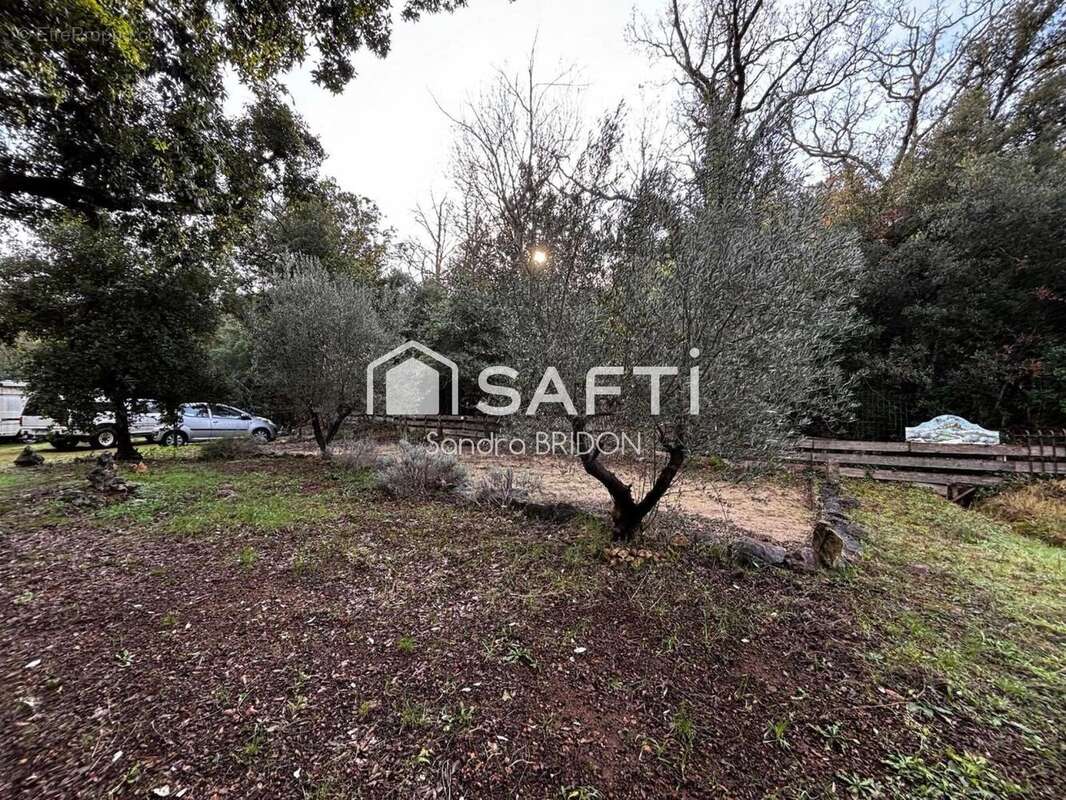 Photo 4 - Maison à CABASSE