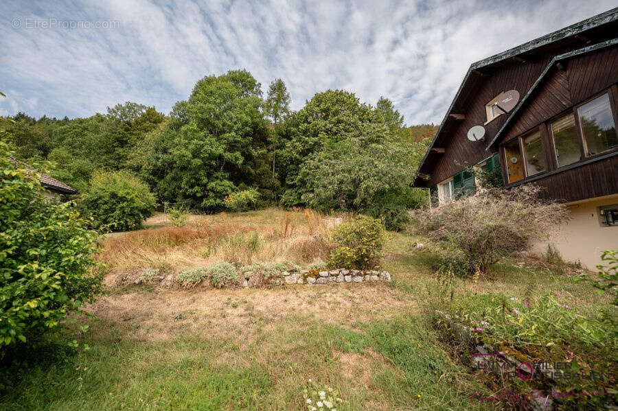 Jougne maison grand terrain proche douane - photo 14