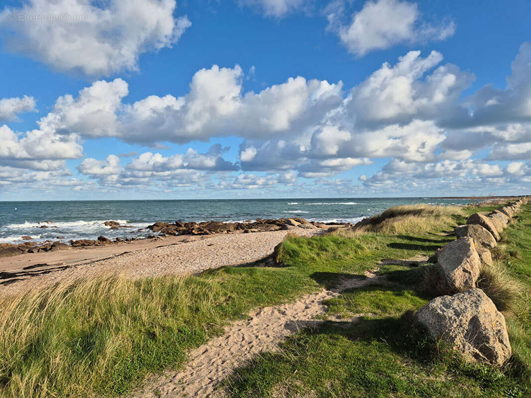 Maison à COSQUEVILLE