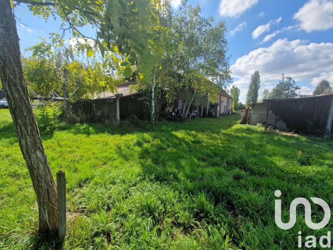 Photo 4 - Maison à BRAY-EN-VAL