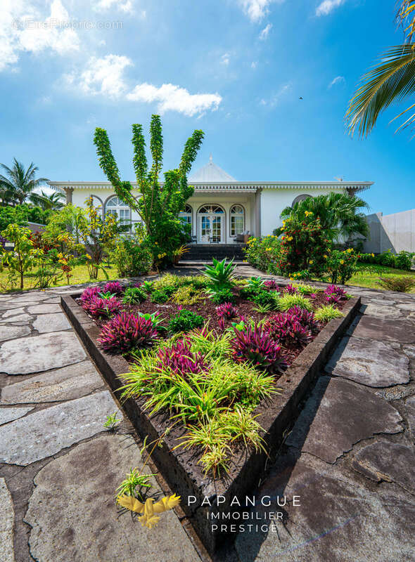 Maison à SAINT-JOSEPH