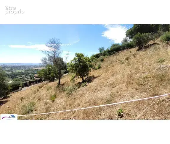 Terrain 1 035 m² à vendre à Mandelieu-La-Napoule (06210) - photo 2
