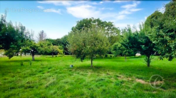 Maison à BERNEVILLE